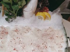 -渔意如意·首创金鲷顺德鱼生