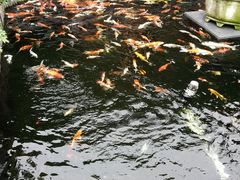 -顺德了能馆(虎门店)