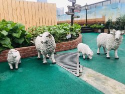 -梦田都市农场(银泰城店)