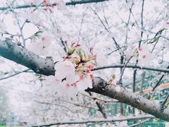 -新天地活力PARK