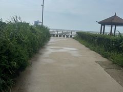 -大鹿岛
