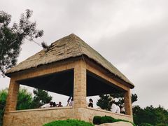 -悦海公园