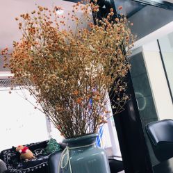 -Moyue HAIR SALON