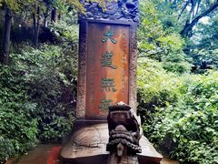 -青城山
