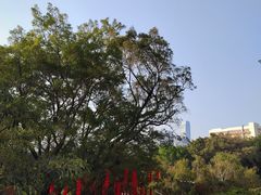 -人民公园(罗湖区)