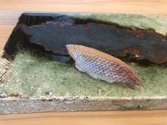 -银座岩