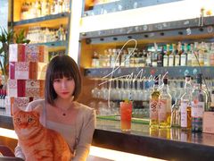 -Famous肥猫墨西哥音乐餐吧(五棵松华熙LIVE店)