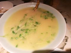 豆苗-绿茶餐厅(汇悦大融城店)