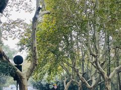 -解香楼(八盘岭路店)