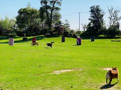 -上海崇明金茂凯悦酒店