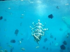-瑞德姆美人鱼海底演艺主题餐厅(亚龙湾店)