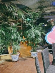 点击看大图 -特味村·宴会厅(生态园店)