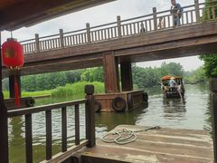 -溱湖国家湿地公园