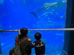 -成都浩海立方海洋公园