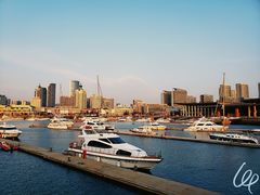 -青岛海尔洲际酒店