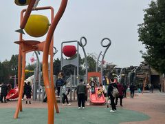 -枫香湖儿童公园