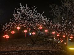 -禅宗少林·音乐大典