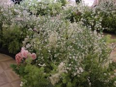 -Blue Concept Cafe&Farm·關於藍