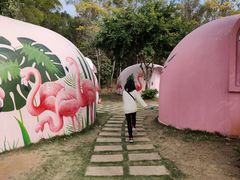 -漳州滨海火山岛自然生态风景区