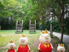 -溱湖国家湿地公园