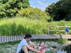 -成都市活水公园