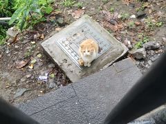 -渣滓洞