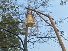 -中国天府农业博览园