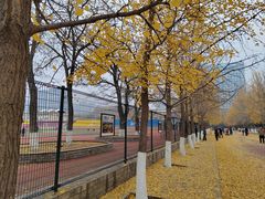 -辽宁大学(崇山校区)