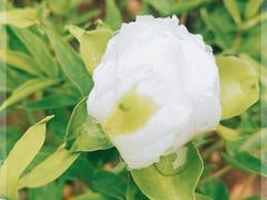 -六和塔文化公园