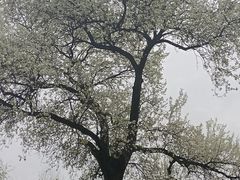 -堤角公园