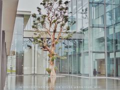 -深圳大梅沙京基洲际度假酒店