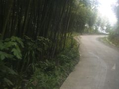 -龙岩森林水乡景区