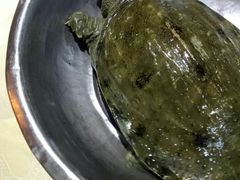 -来客家食府 · 福建客家菜(厦禾路店)