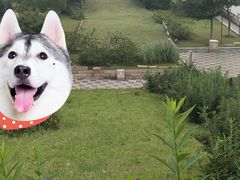 -相门城墙文化休闲景区