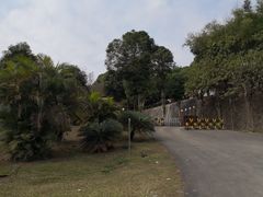 -南宁良凤江国家森林公园