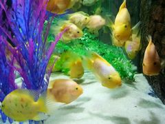 -洛阳龙门海洋馆