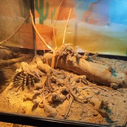 -酷嗒动物文化乐园(cutezoo西溪乐天城店)