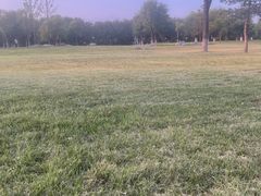 -汉长安城未央宫国家考古遗址公园