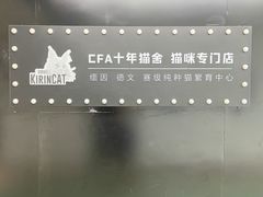 -十年猫舍·猫咪专门店(普陀店)