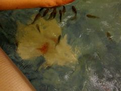 -东方之珠洗浴休闲广场(大港店)