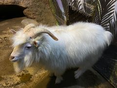 -苏州海洋馆