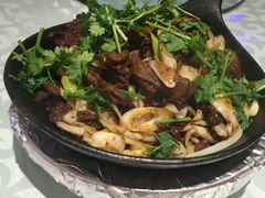 -金蝉食府(维吉奥广场店)