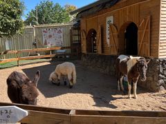 -HERRE·FARM 赫尔露营农场·团建聚会包场