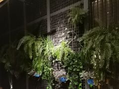 -肴约·花园式餐厅(湖里店)