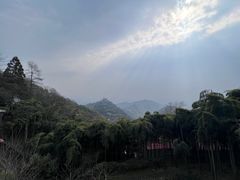 -莫干山风景区