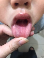 -上海交通大学医学院附属上海儿童医学中心(陆家嘴总院区)