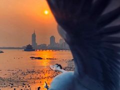 -栈桥景区
