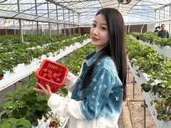 -加顺农场餐厅