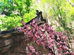 -藏山旅游风景区