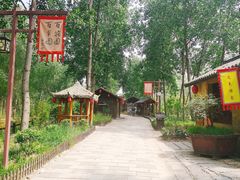 -合肥滨湖国家森林公园